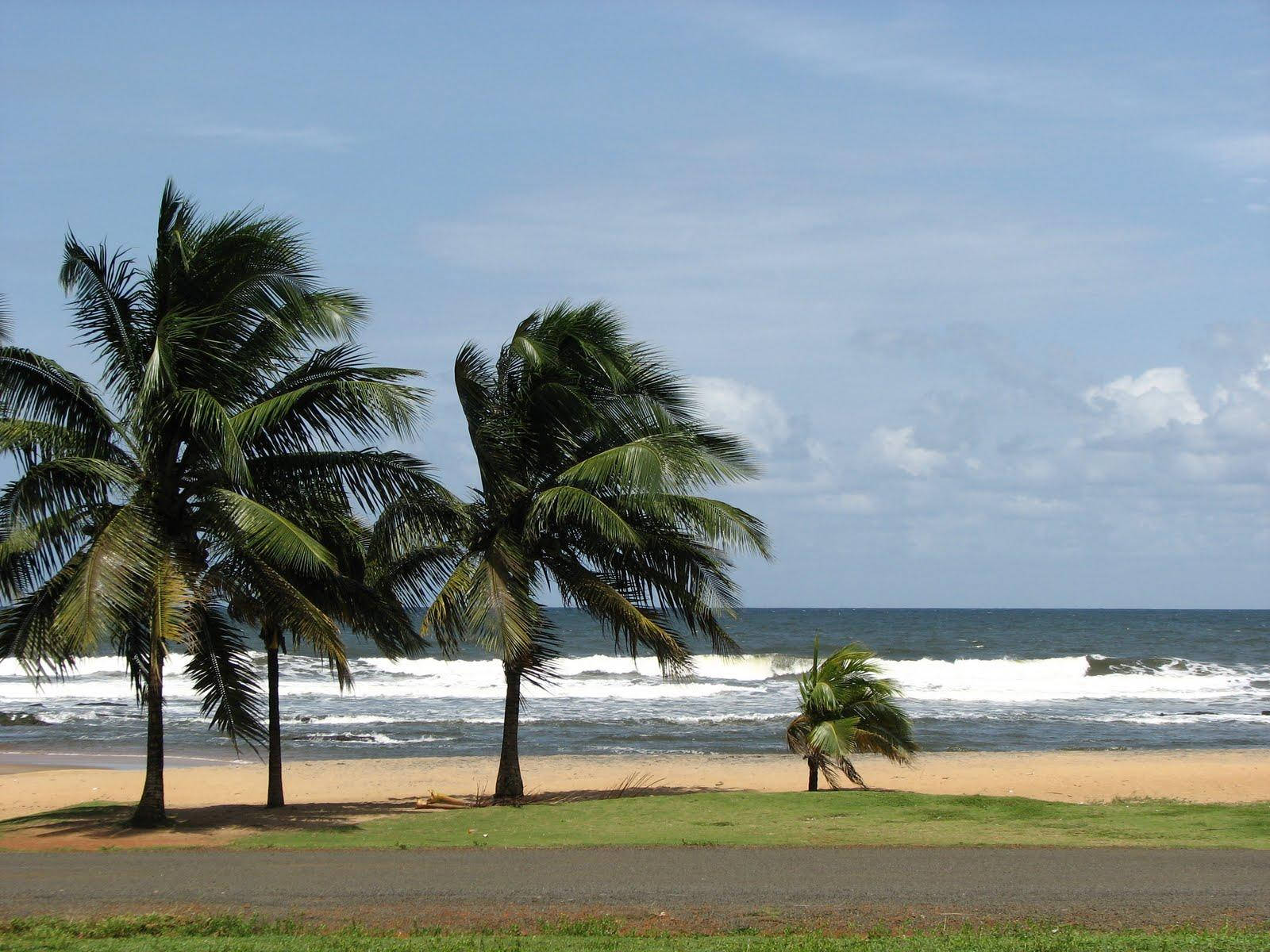 Liberia Palm Beach