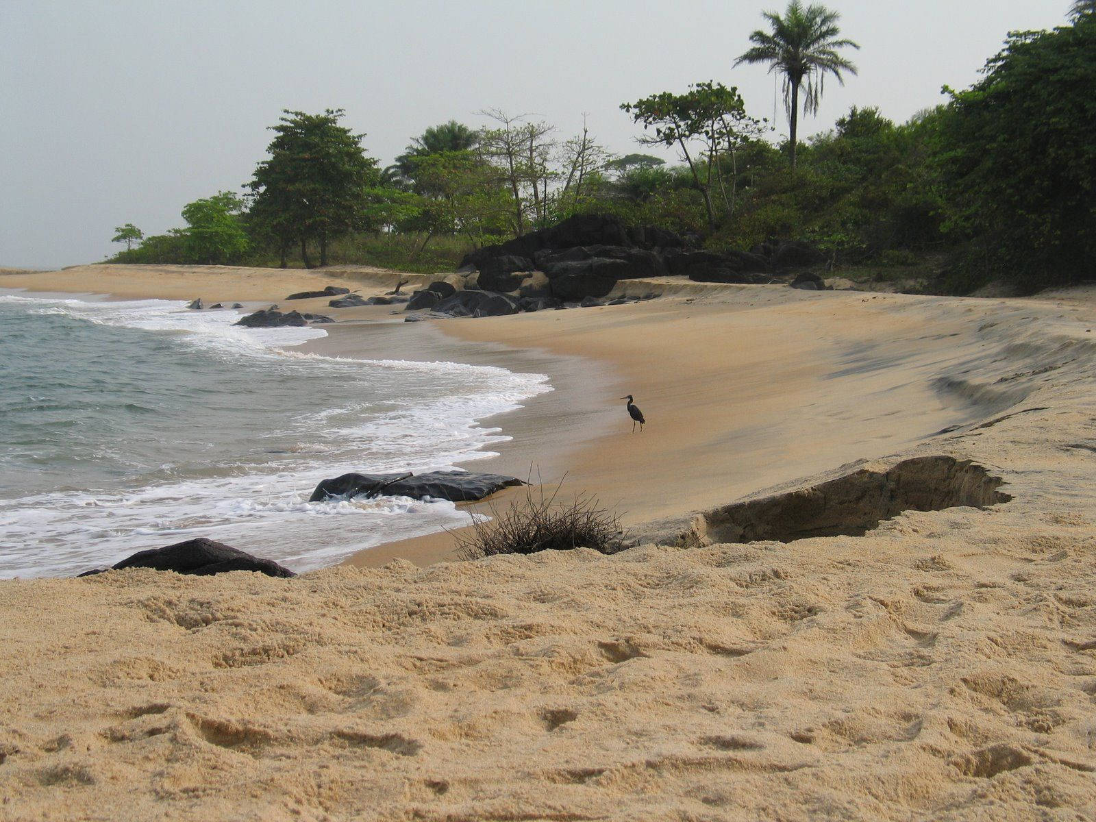 Spiaggia Della Liberia Sfondo
