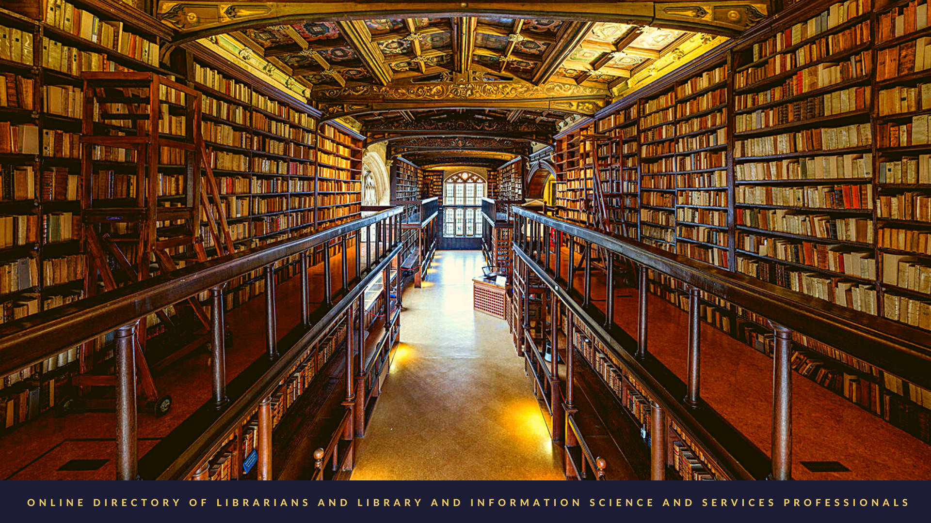 Bibliotekar i en stor bibliotek Wallpaper