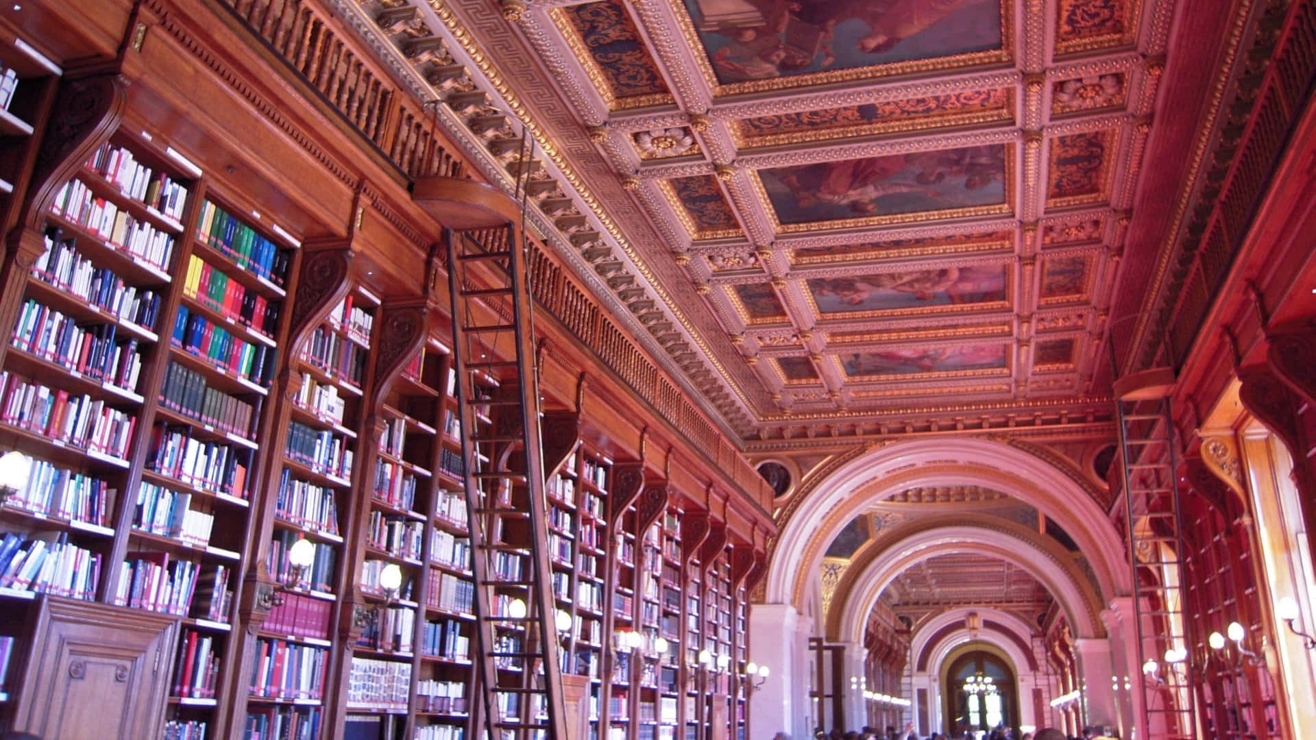 Luxembourg Palace Library Background
