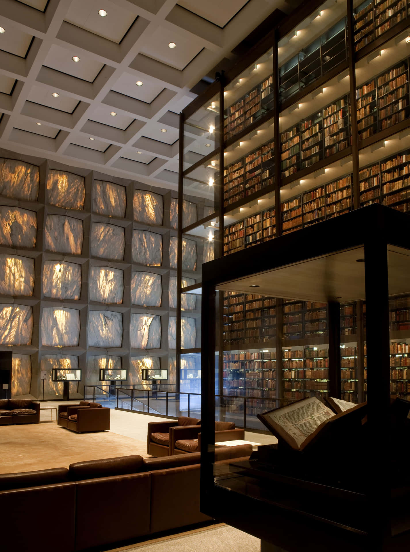 Evocative Image of a Classic Library