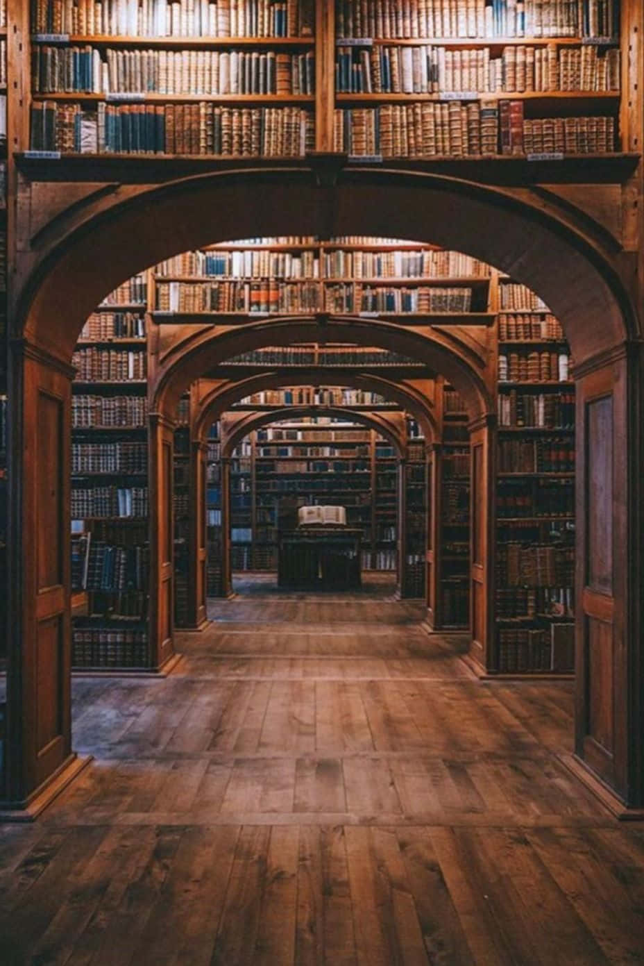 Immaginedi Una Biblioteca In Legno Con Archi.