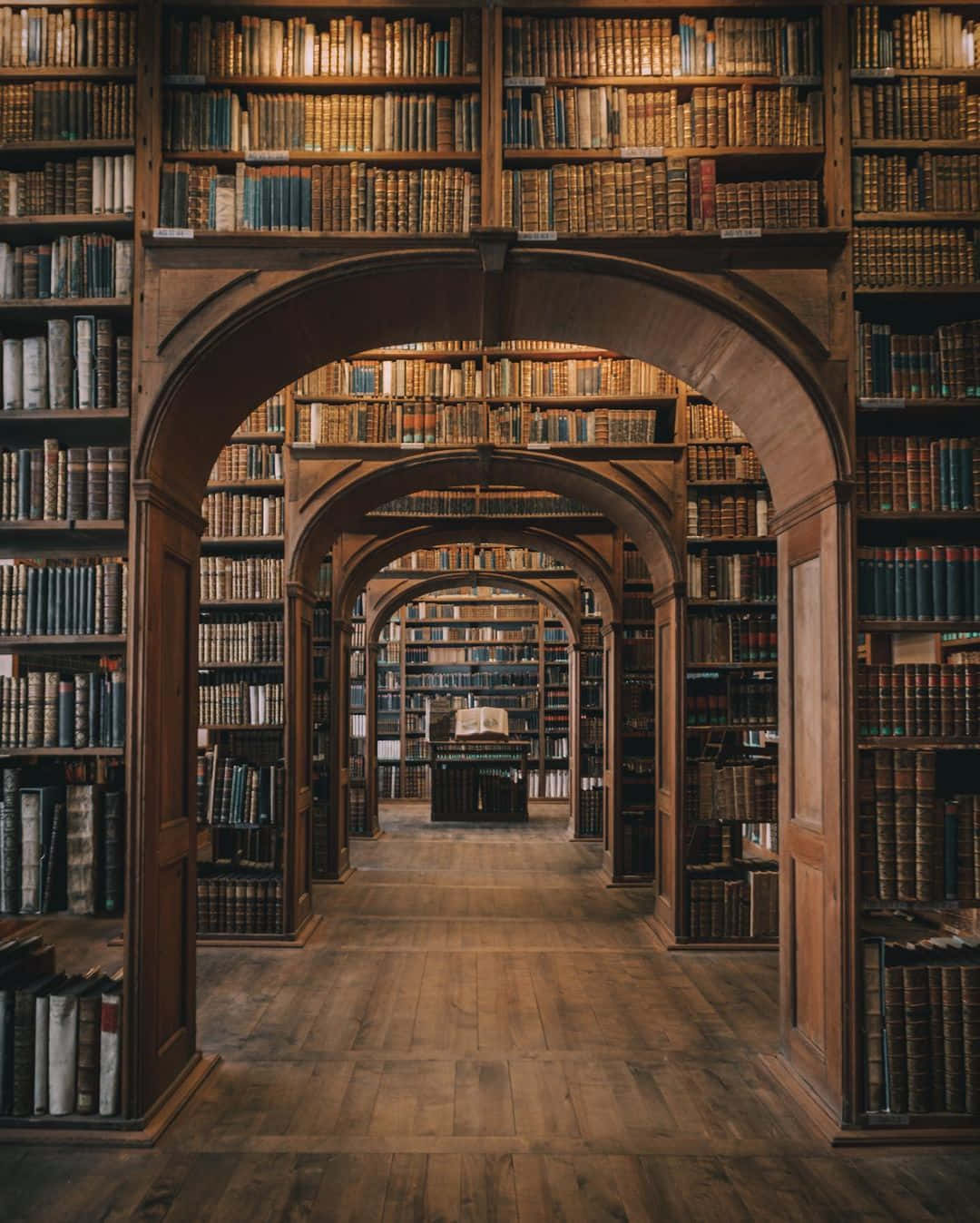 Atmosferatranquilla In Una Biblioteca Elegante