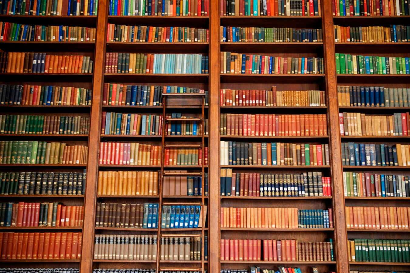 Unabiblioteca Con Muchos Libros En Estantes