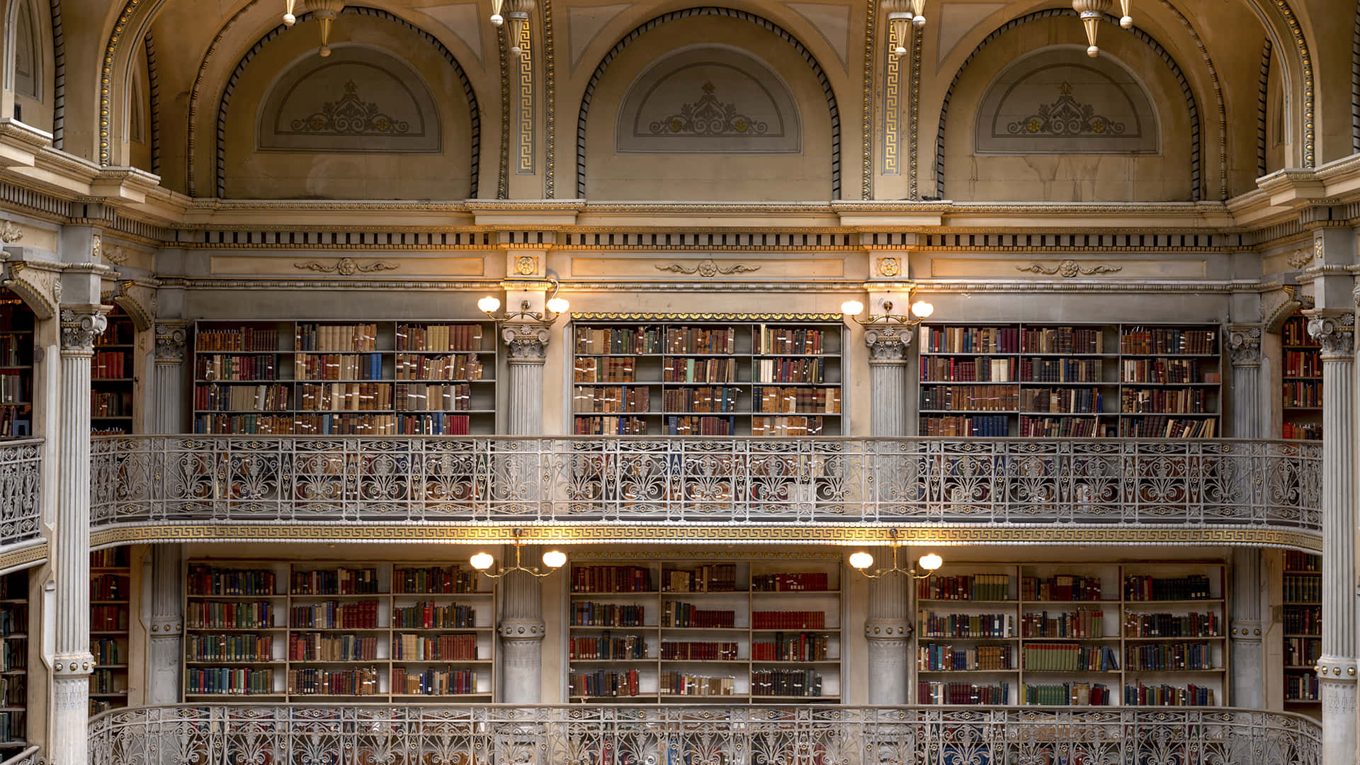Enstor Bibliotek Med Många Böcker