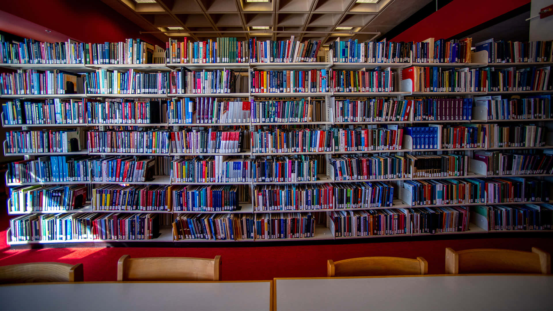 Zoomain I Bibliotekens Värld.
