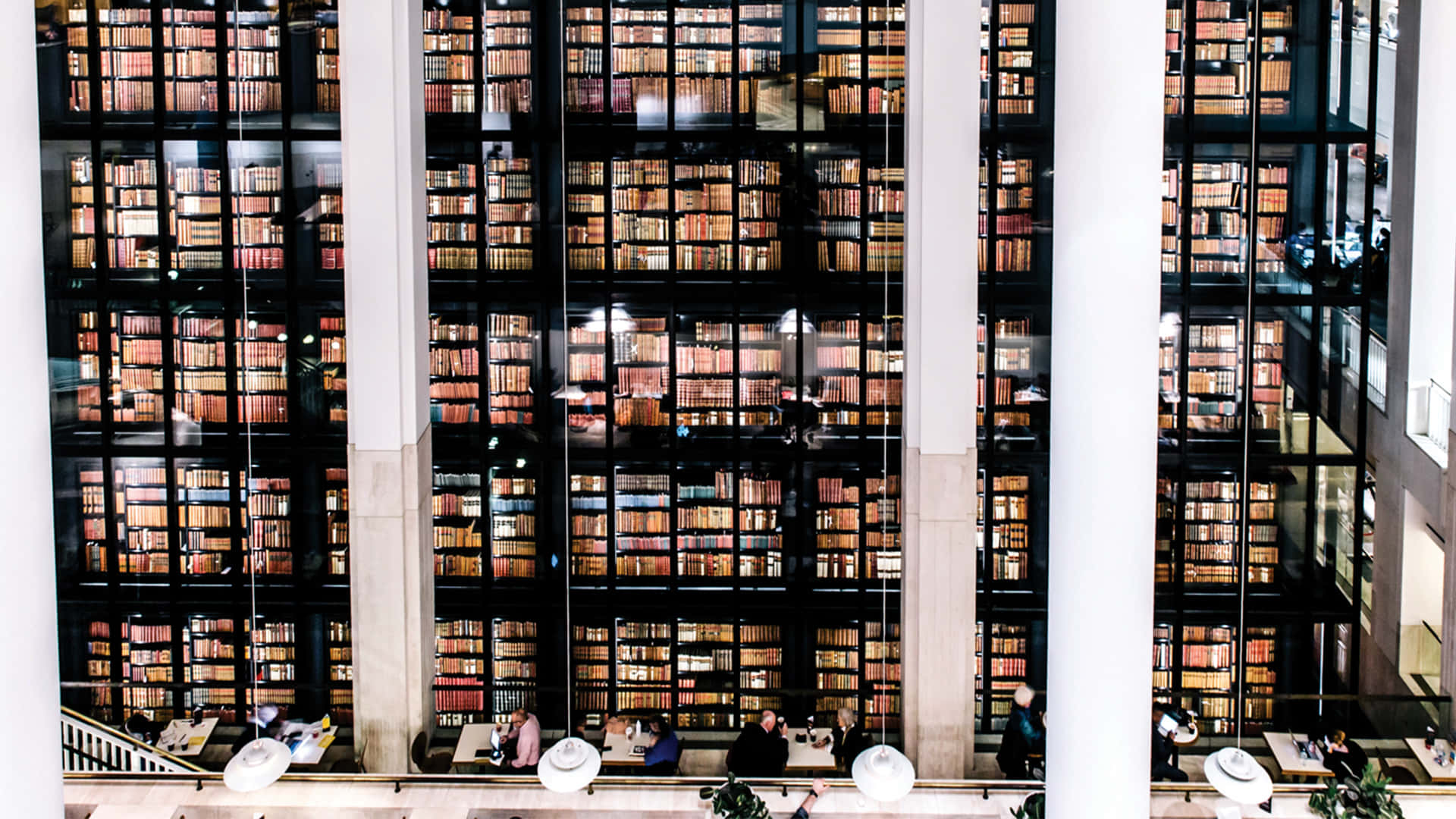 A Large Library With Many Books