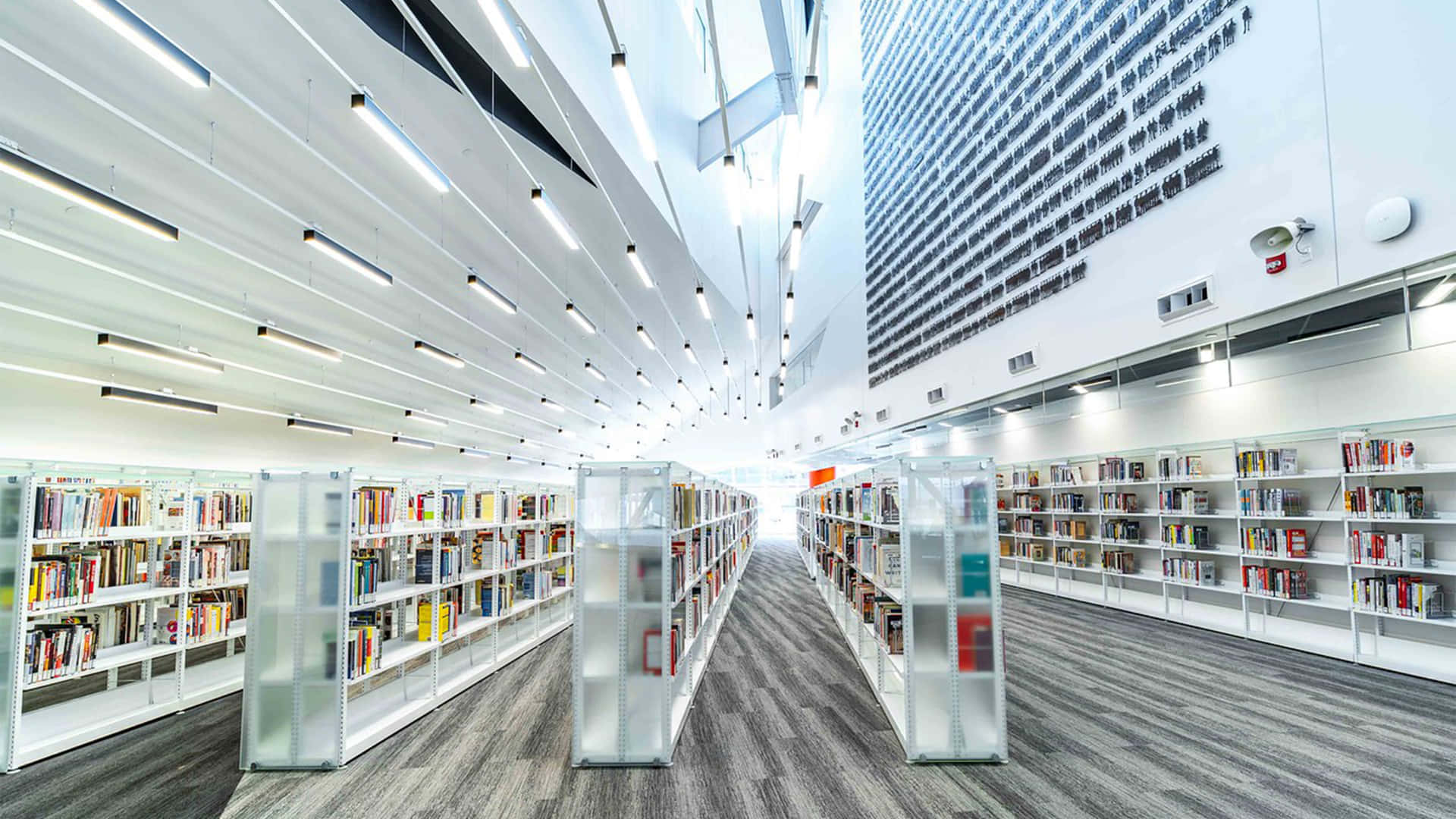 A Library With Shelves And Books On The Floor