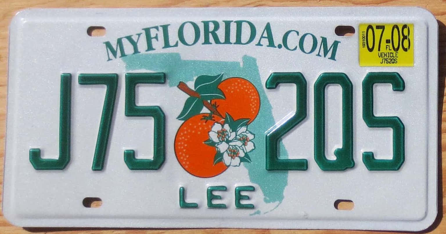 Florida License Plate Word Lee