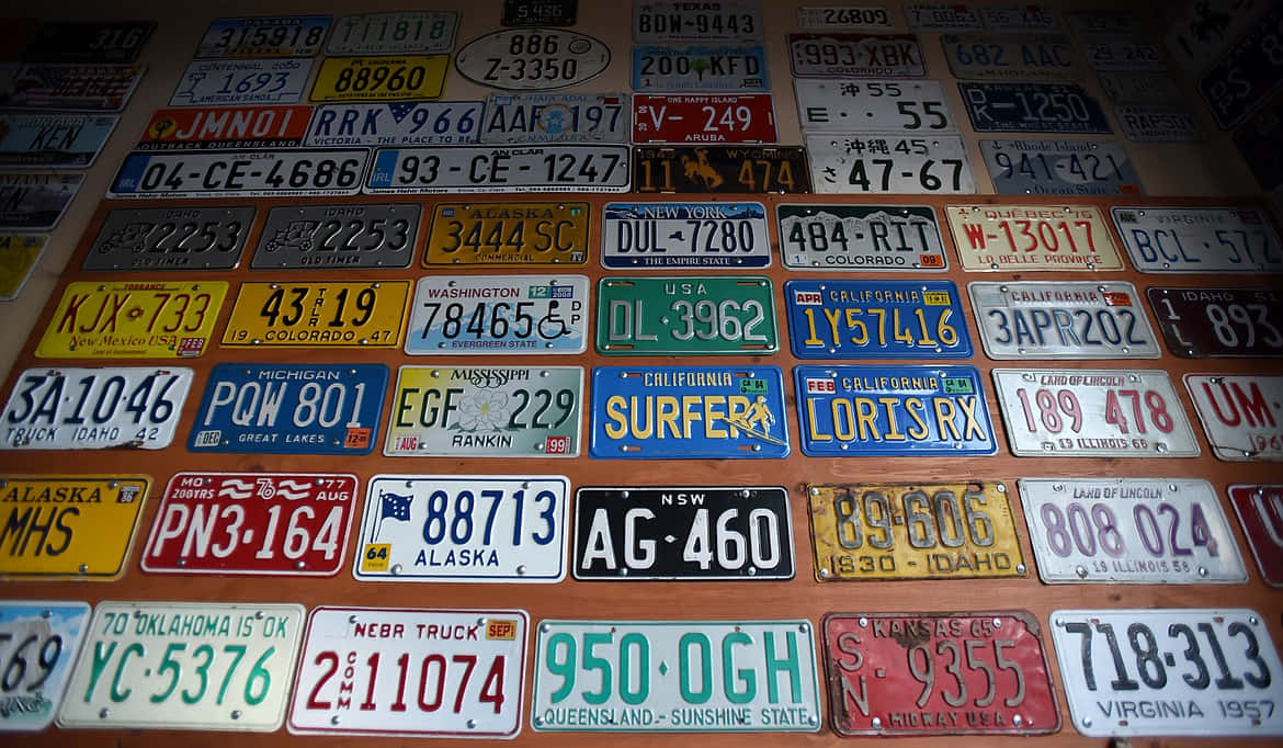 Random Colorful Collection License Plate