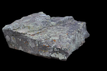 Lichen Covered Rock Isolated PNG