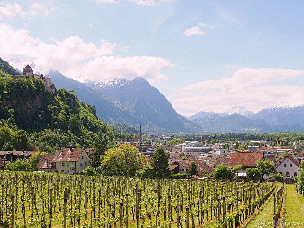 Liechtenstein-afgrøde felt mandala mønstre. Wallpaper
