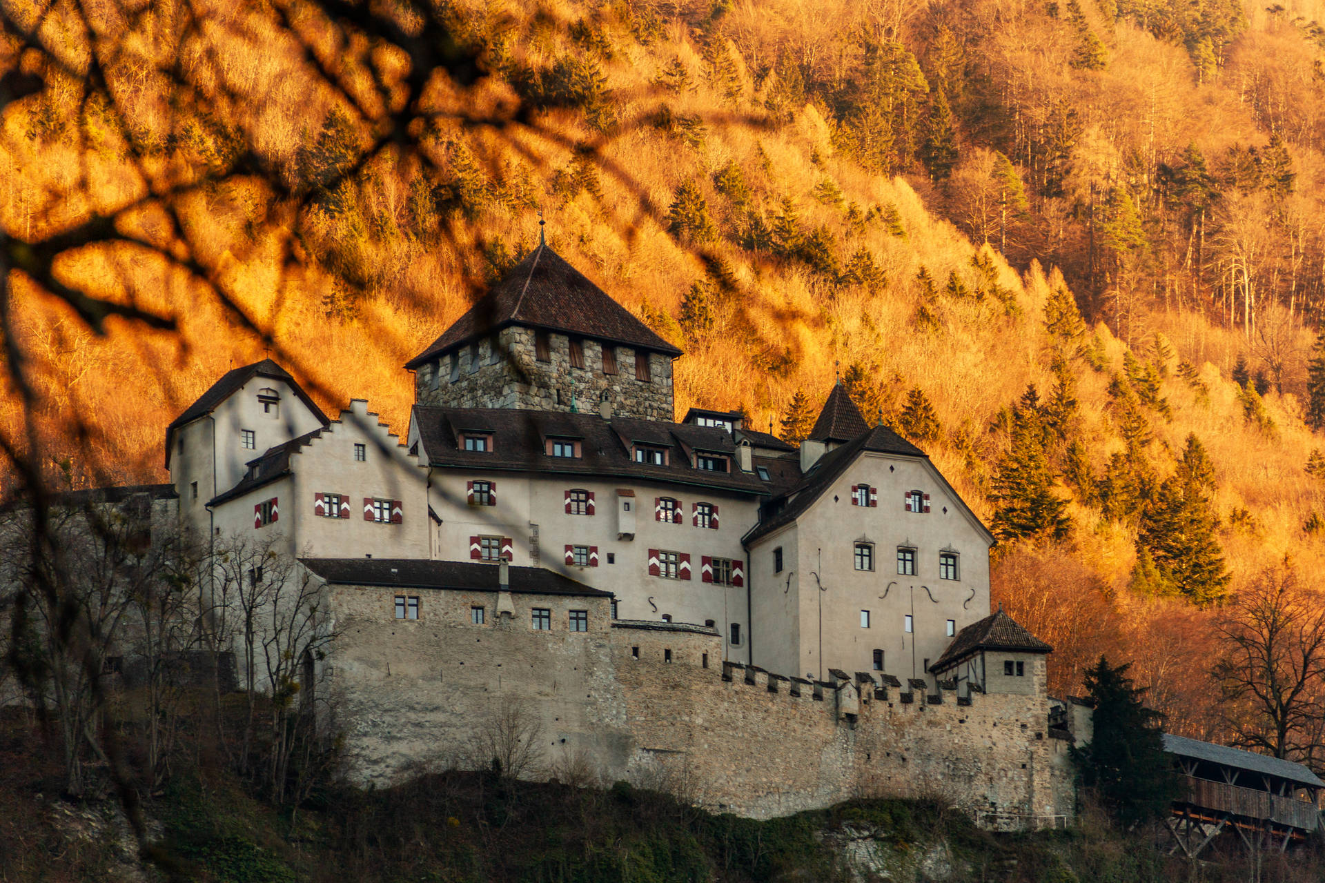 Liechtenstein Parte Anteriore Del Castello Di Vaduz Sfondo