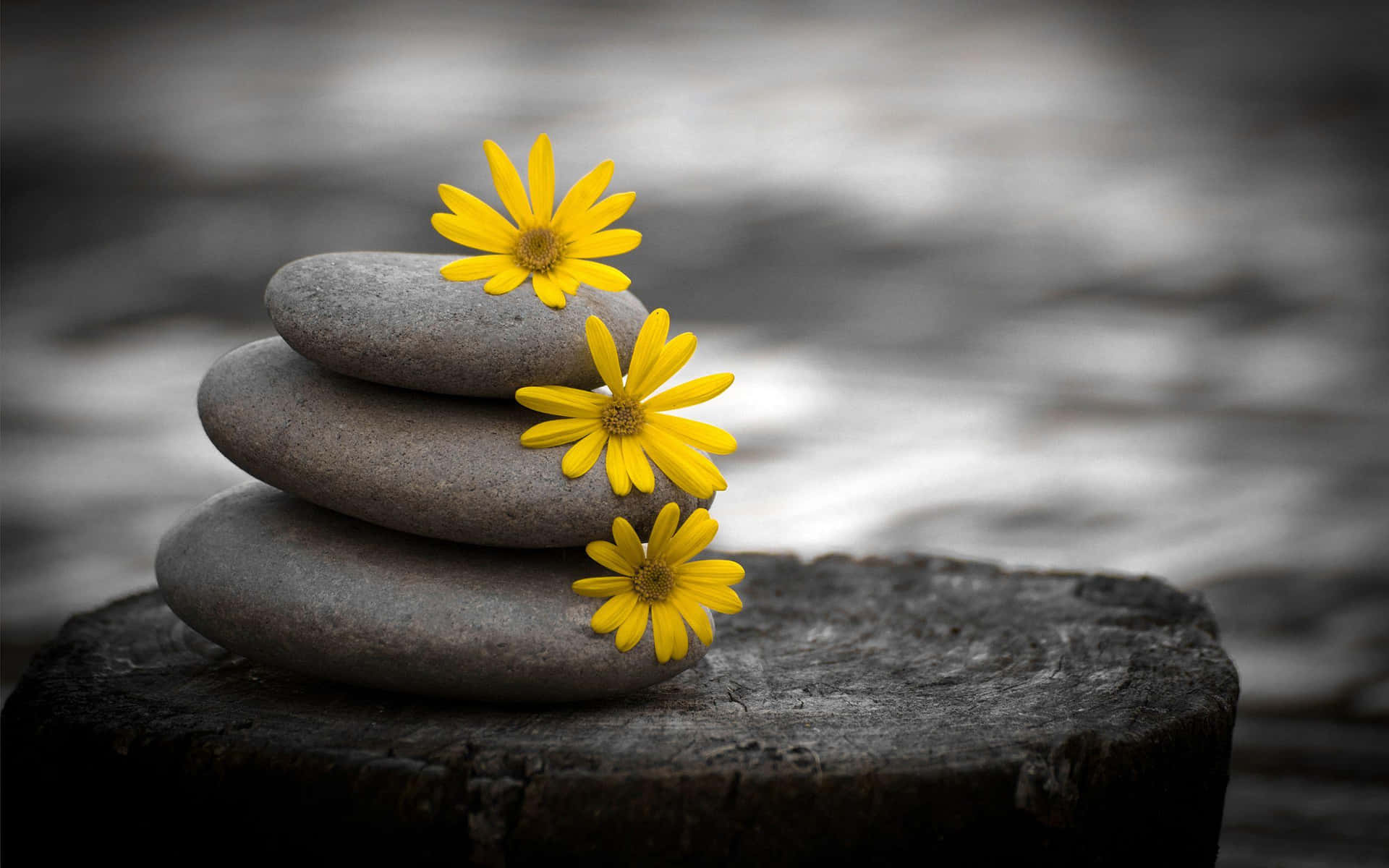 A Stack Of Rocks With Yellow Flowers