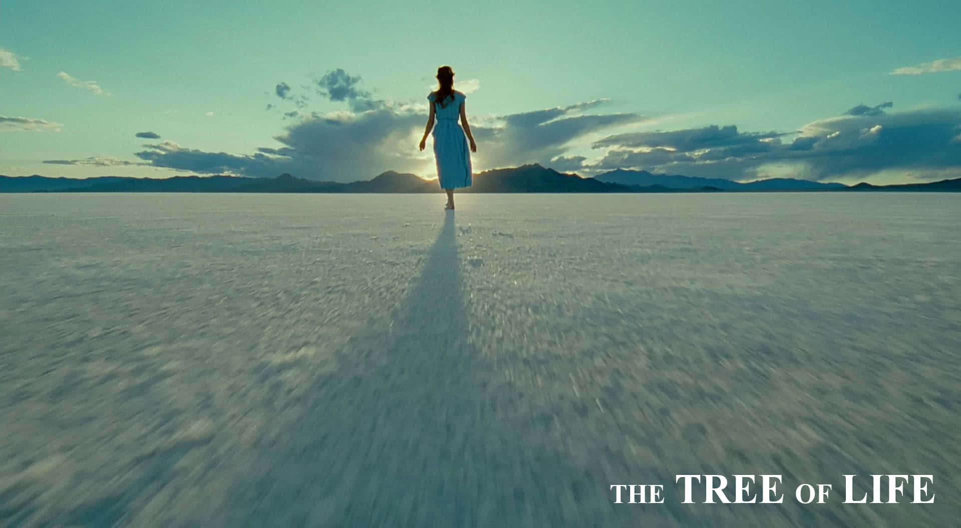 The Tree Of Life - A Woman Walking Across The Desert