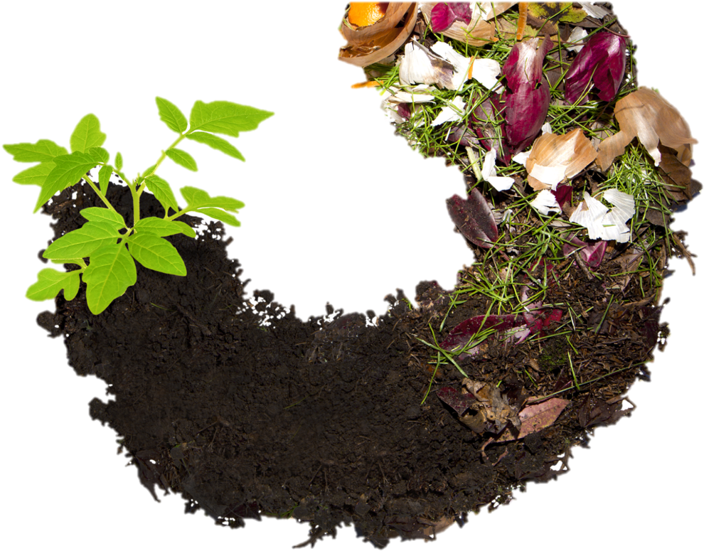 Life Cycleof Soiland Compost PNG