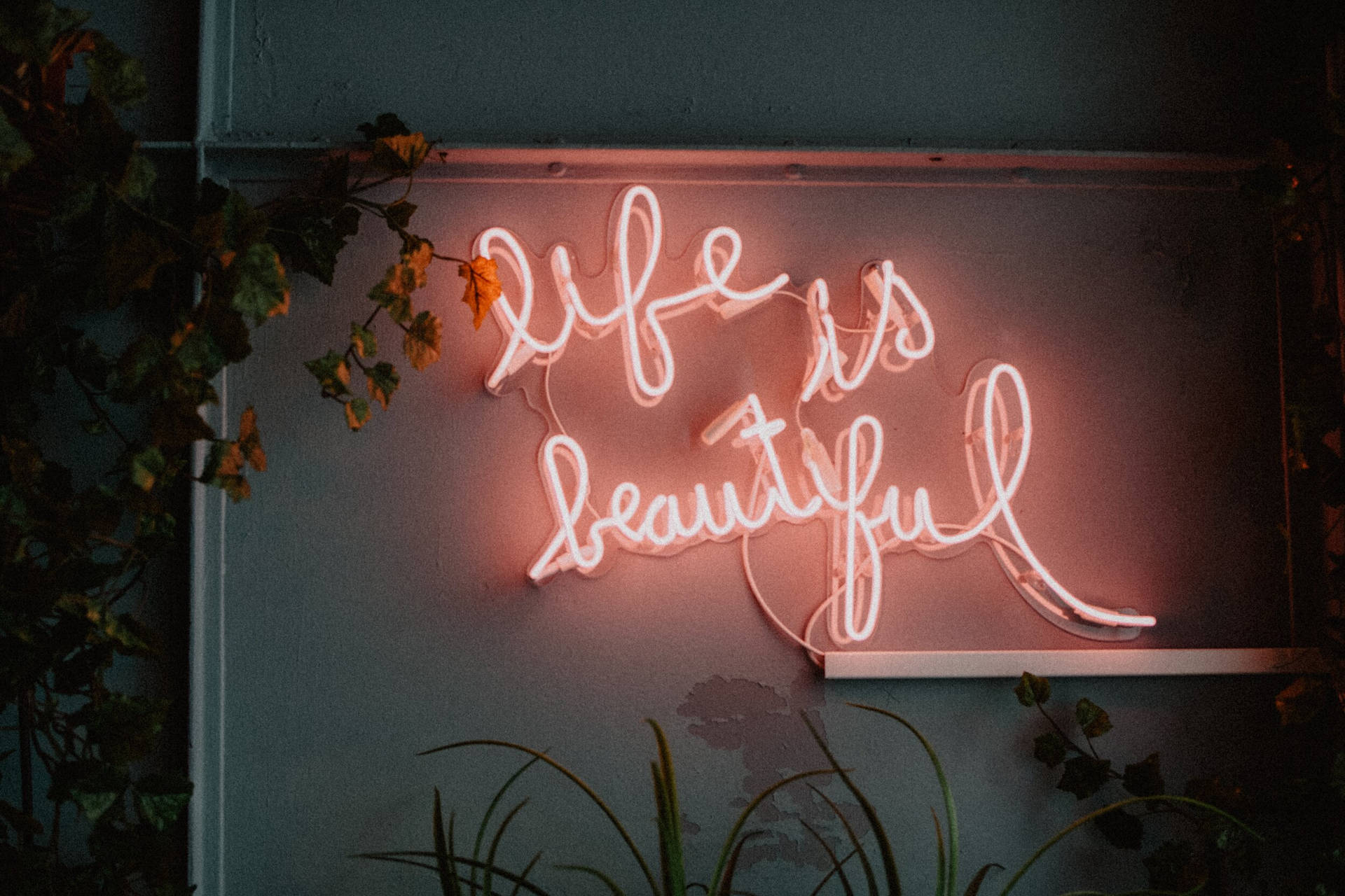 Life Is Beautiful Neon Sign Wallpaper