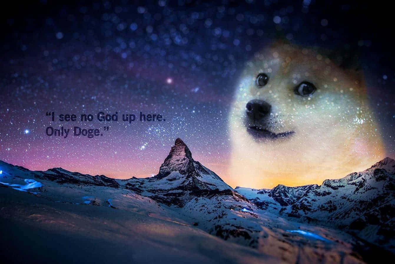 Life Is Good With Doge Wallpaper