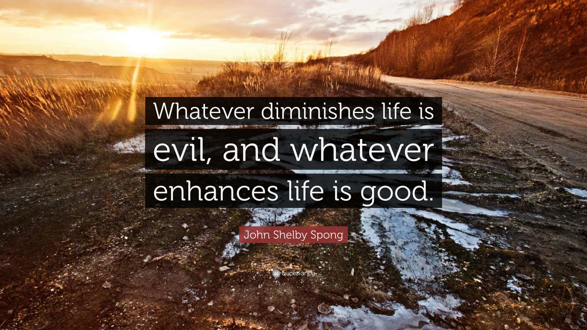 Whatever Diminishes Life Is Evil And Whatever Enhances Life Is Good Wallpaper