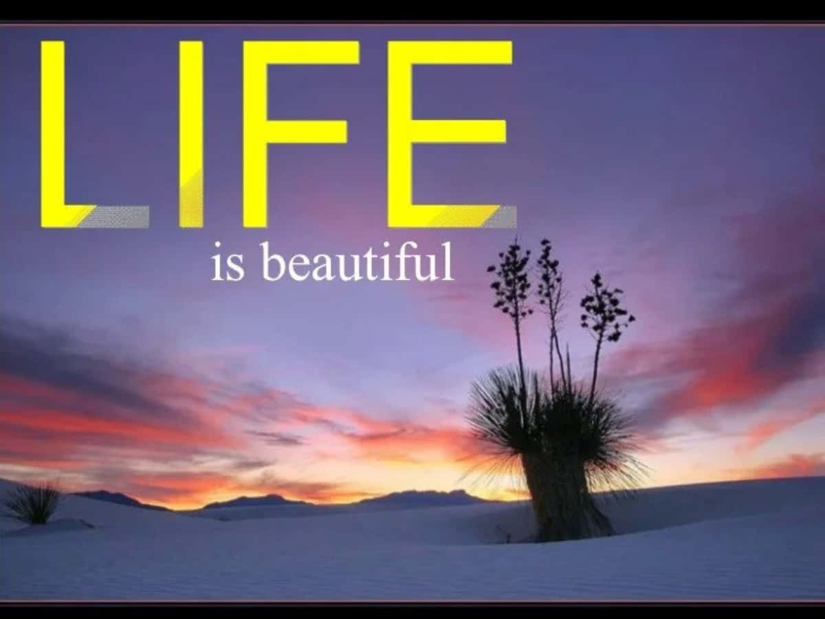 Life is beauty