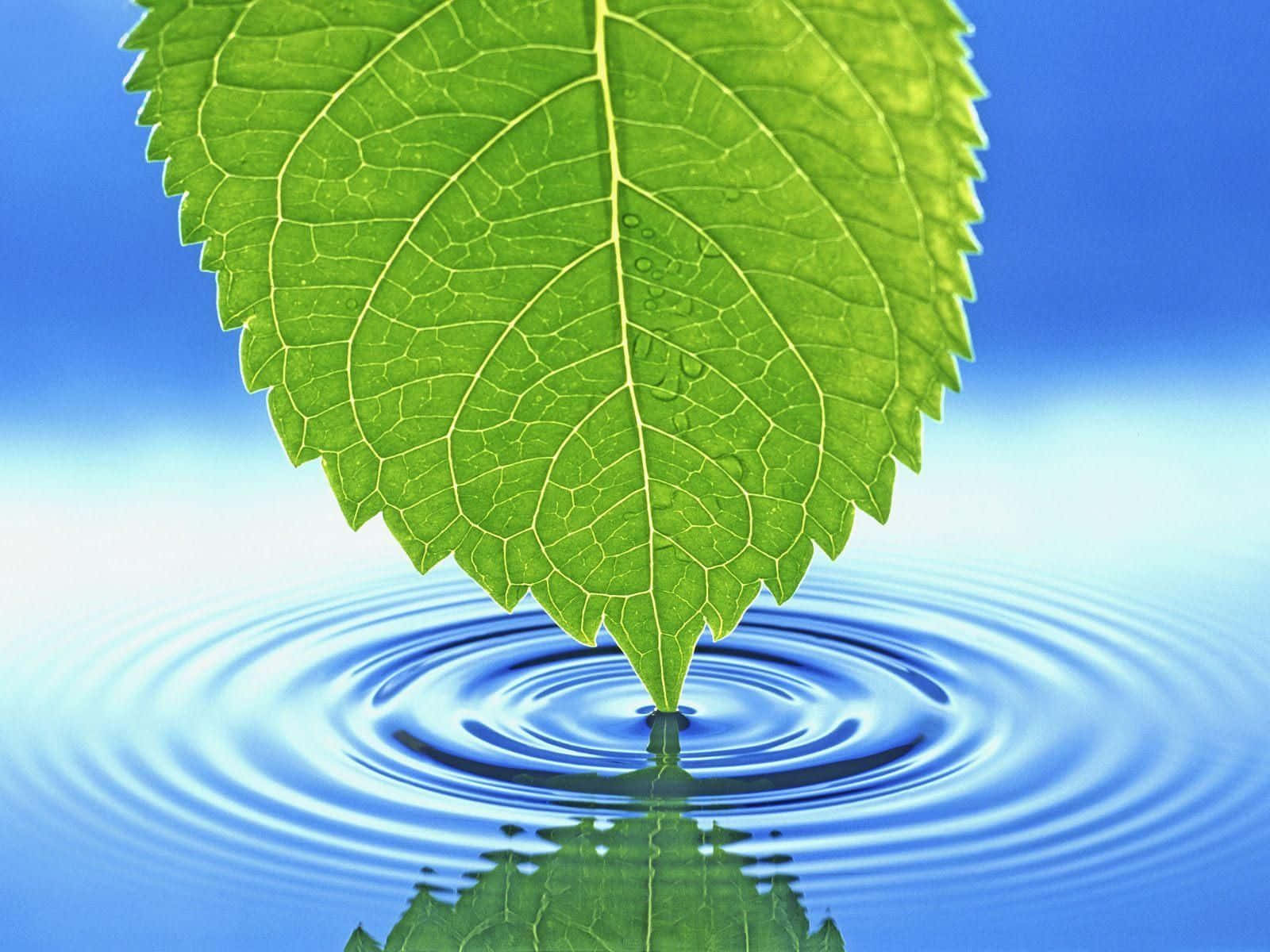 Life Source - A Healthy Planet Starts With Water Conservation Wallpaper