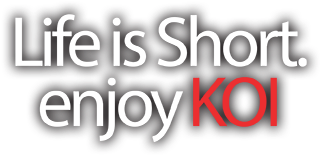 Lifeis Short Enjoy K O I Slogan PNG