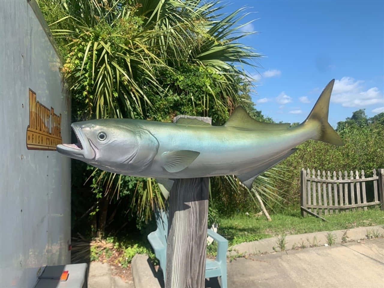 Lifesize Bluefish Statue Outdoors Wallpaper