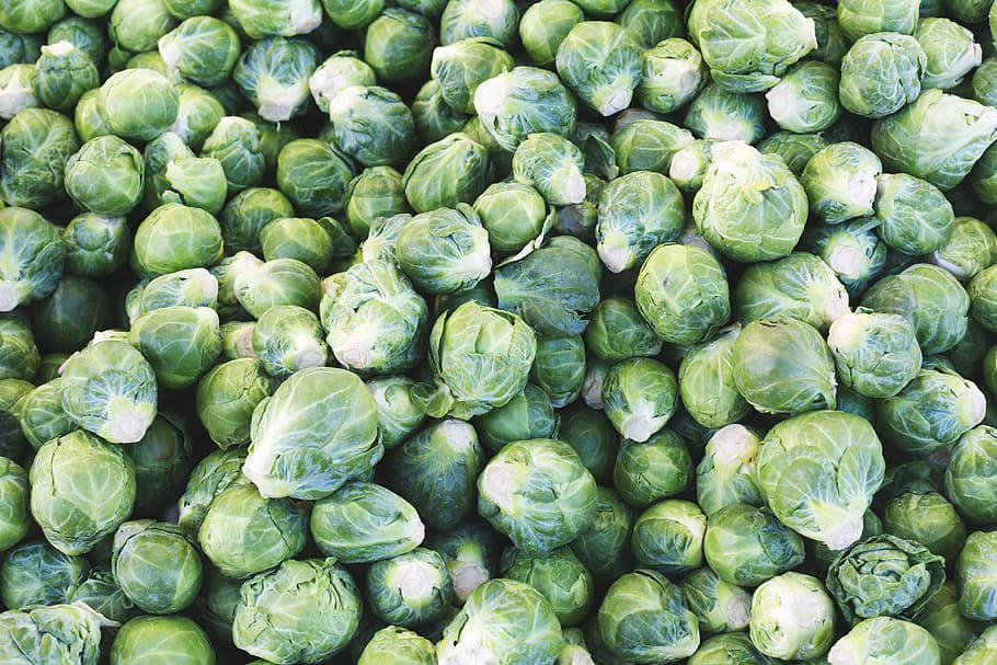 Light And Dark Green Brussels Sprouts Vegetable Wallpaper