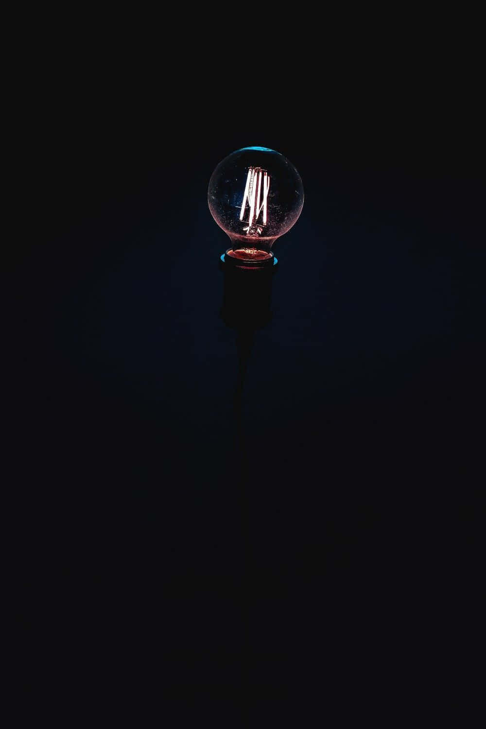 A Light Bulb Is Lit Up In The Dark