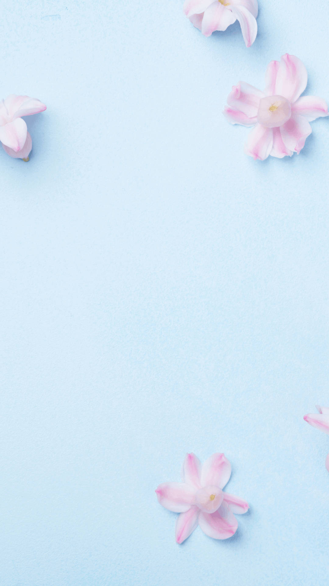 Download Light Blue Aesthetic Pink Flower Wallpaper 