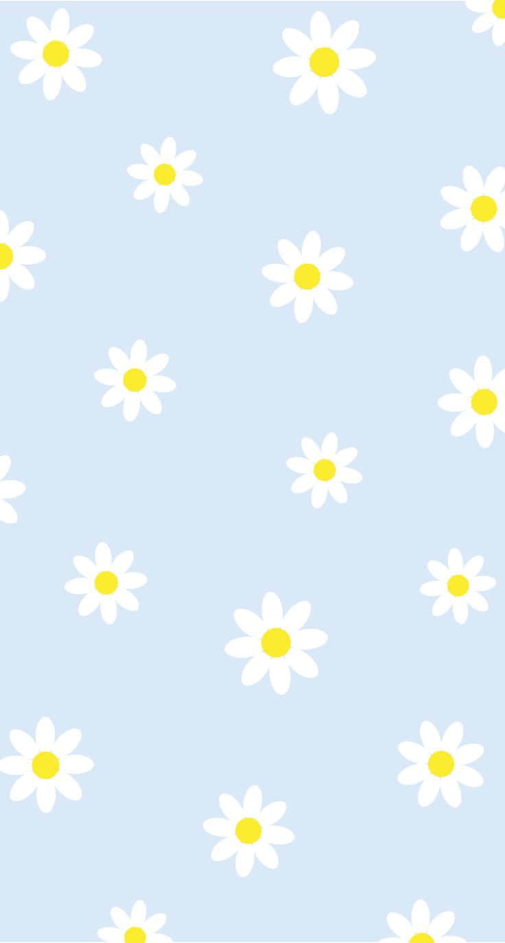 Light Blue Daisy Pattern Wallpaper
