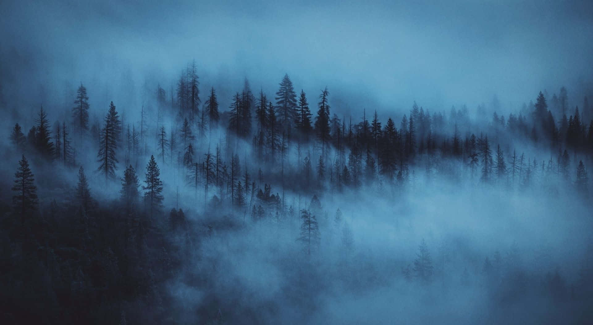 Light Blue Mist Dark Forest Laptop Wallpaper