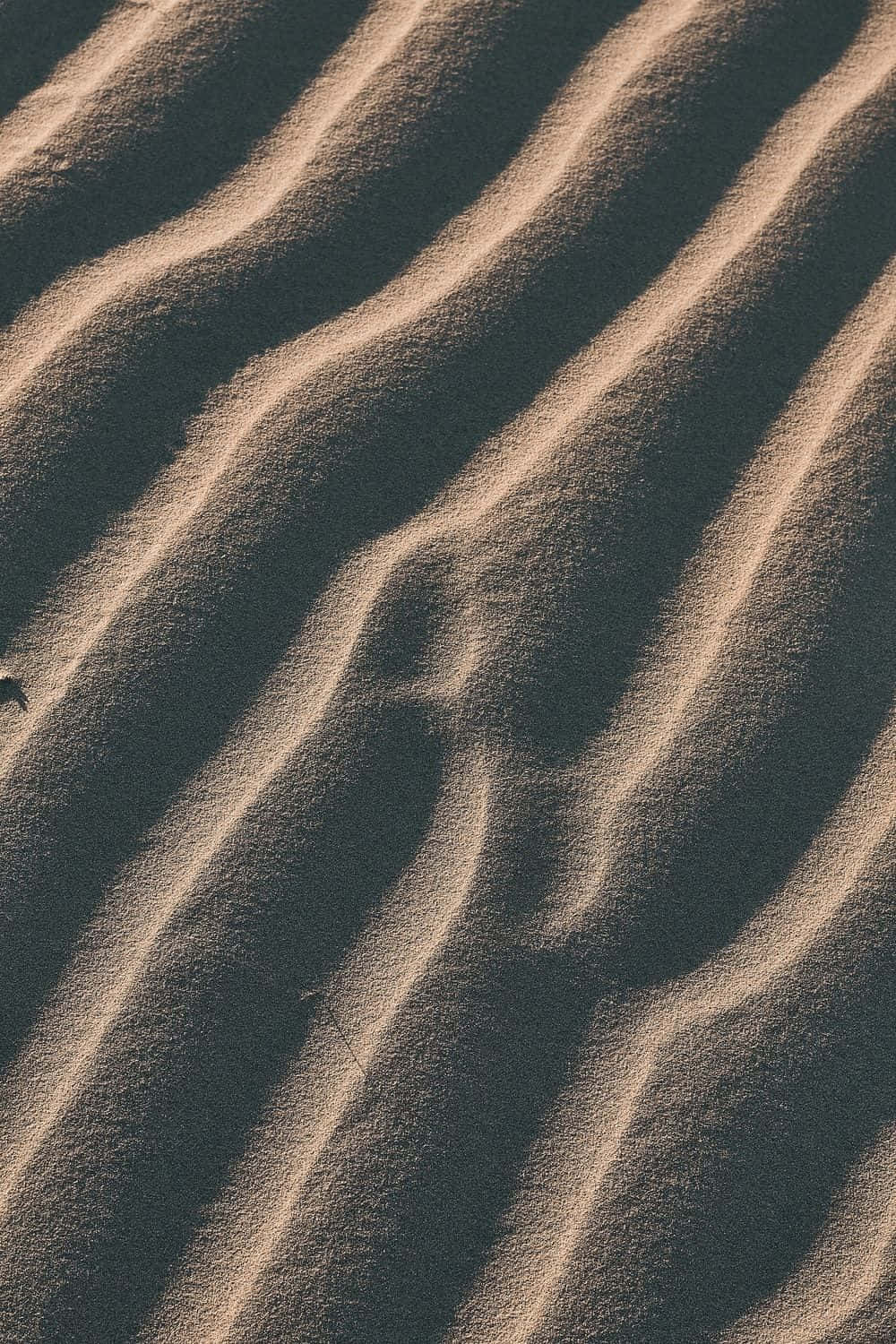 A Sand Dune With A Bird On It