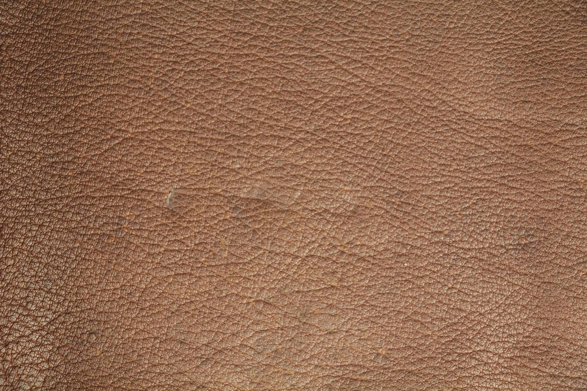 Light Brown Leather Texture Wallpaper