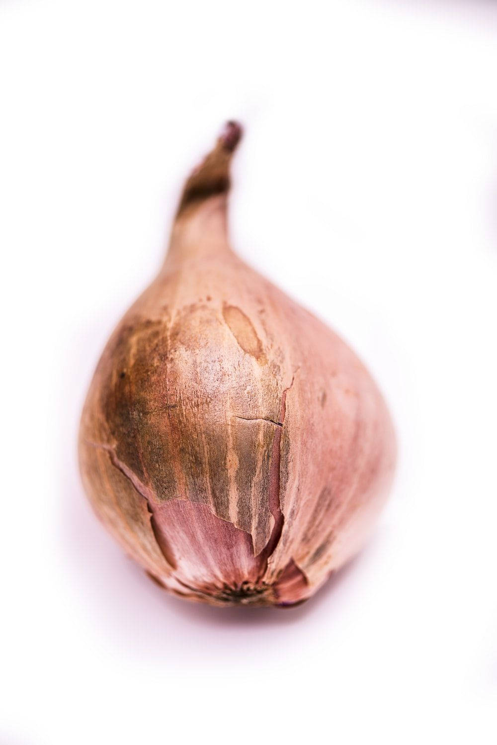 Light Brown Withered Onion Wallpaper