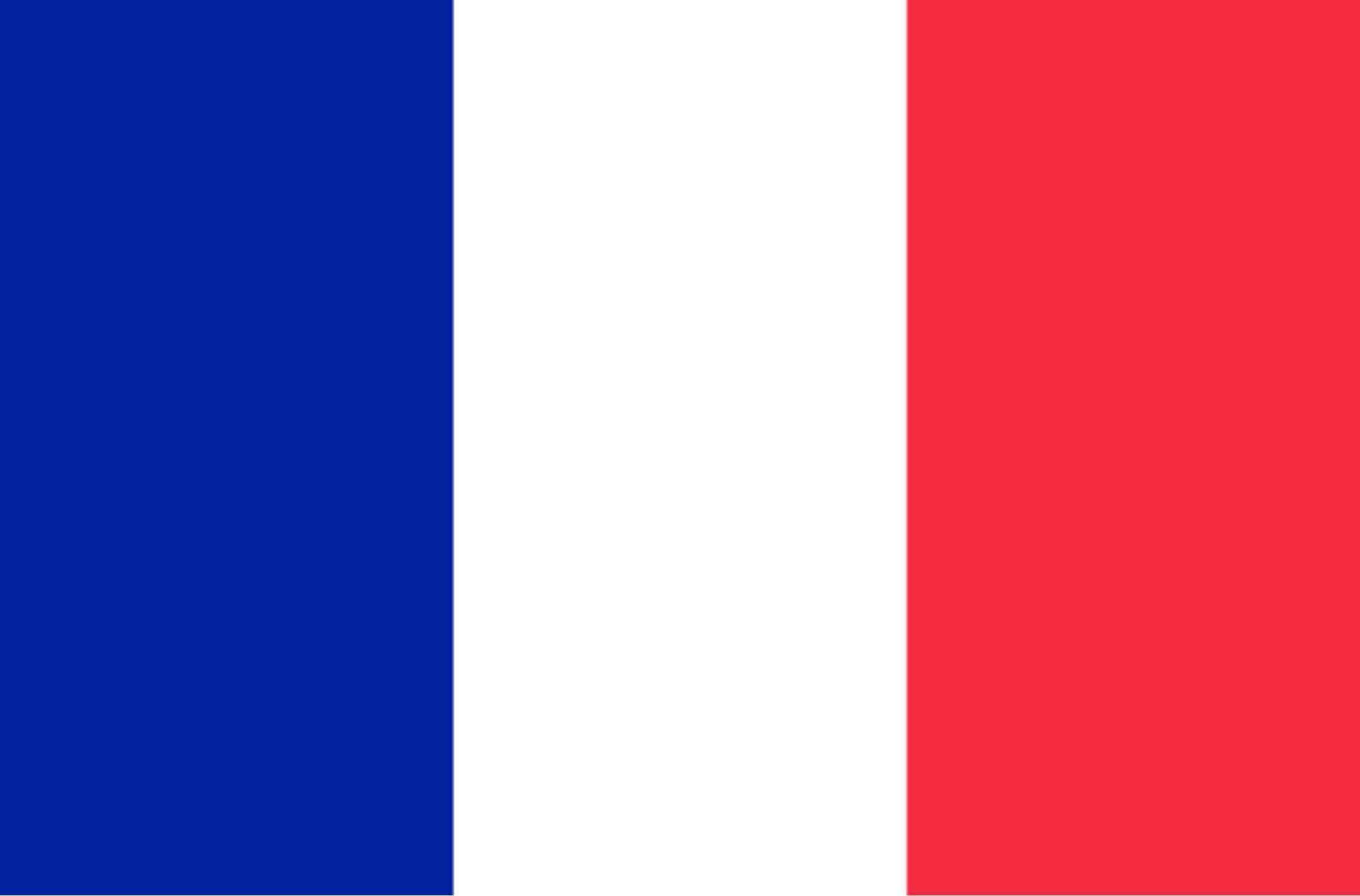Light France Flag