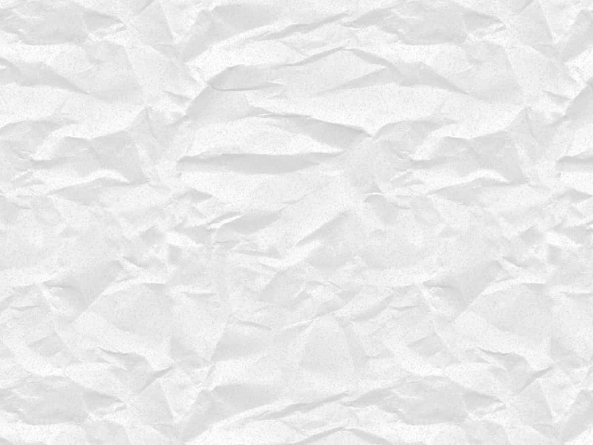 Light Gray Solid Color Background