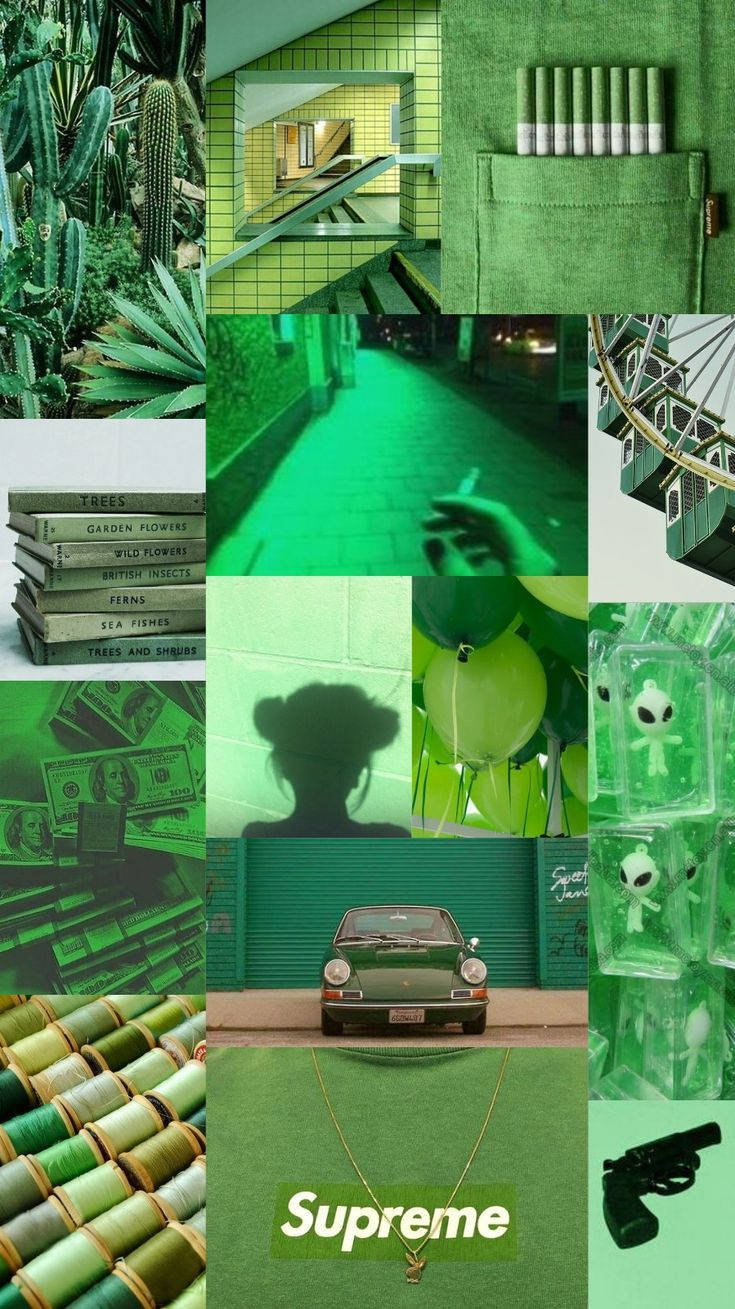 Light Green Aesthetic Collage Photos Wallpaper