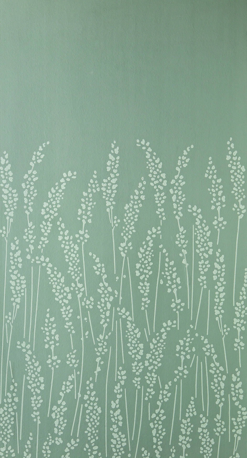 Light Green Aesthetic Feather Grass Wallpaper