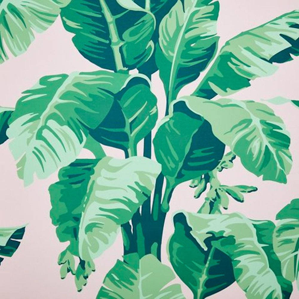 Light Green Aesthetic Leaves Art Wallpaper