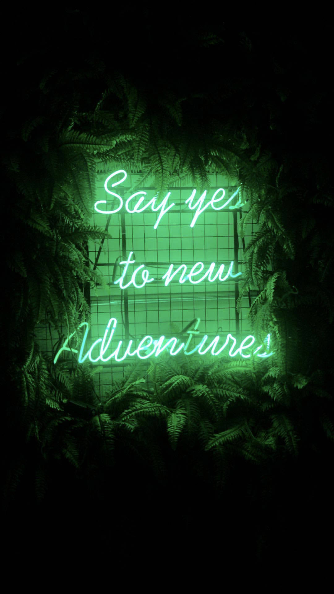Light Green Aesthetic New Adventures Wallpaper