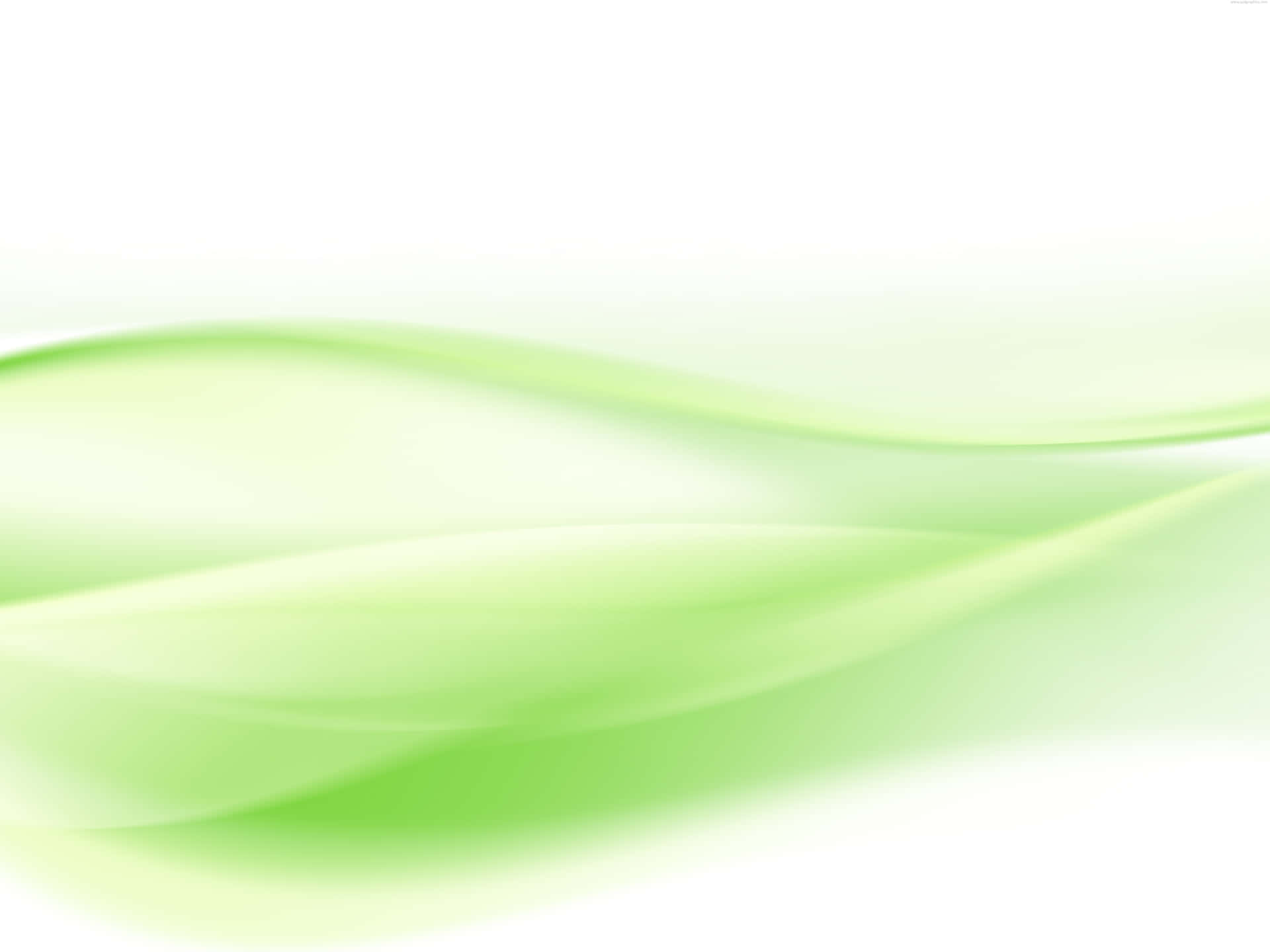 Light Green Wave Vector Background