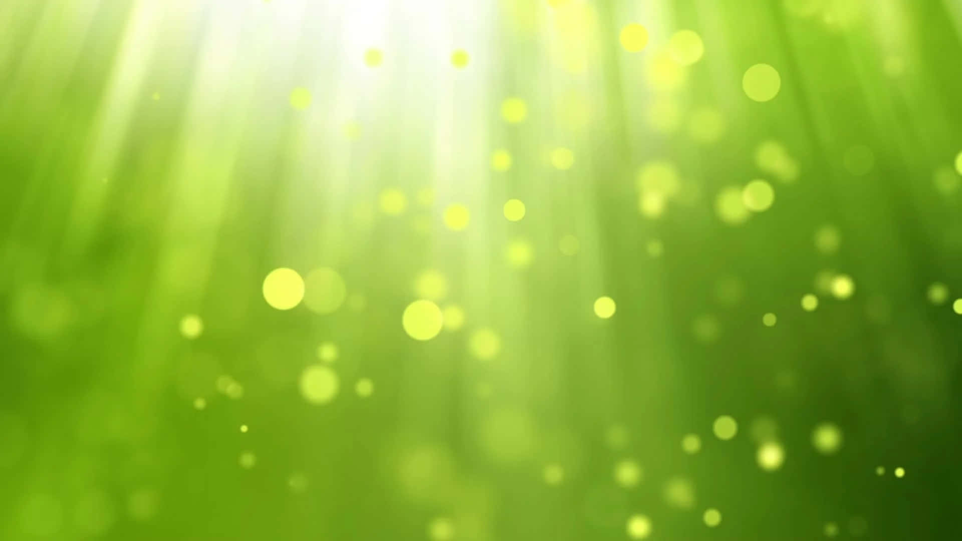 Light Rays And Bokeh In Light Green Background