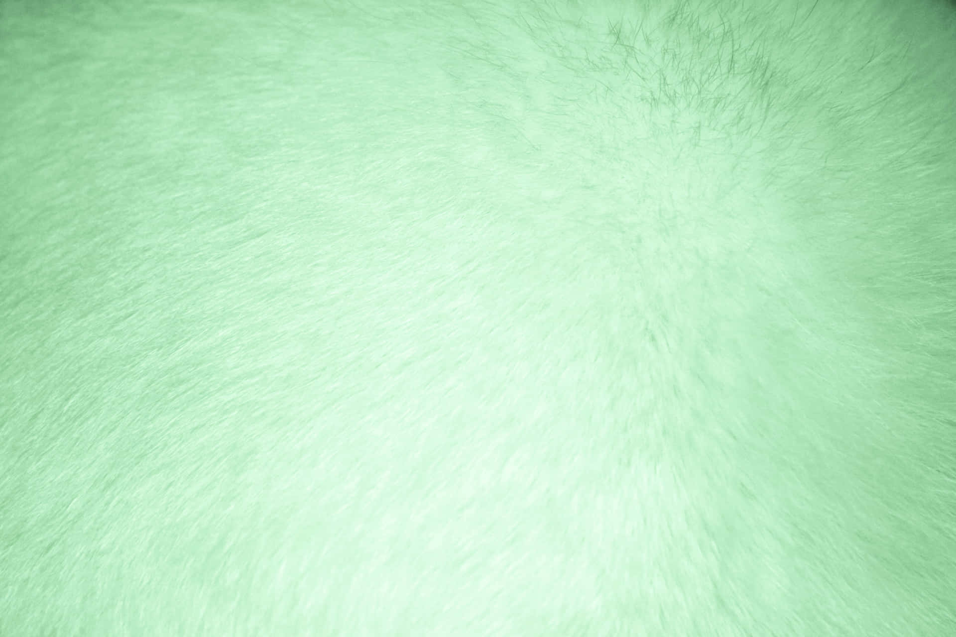 Light Green Fur Texture Background