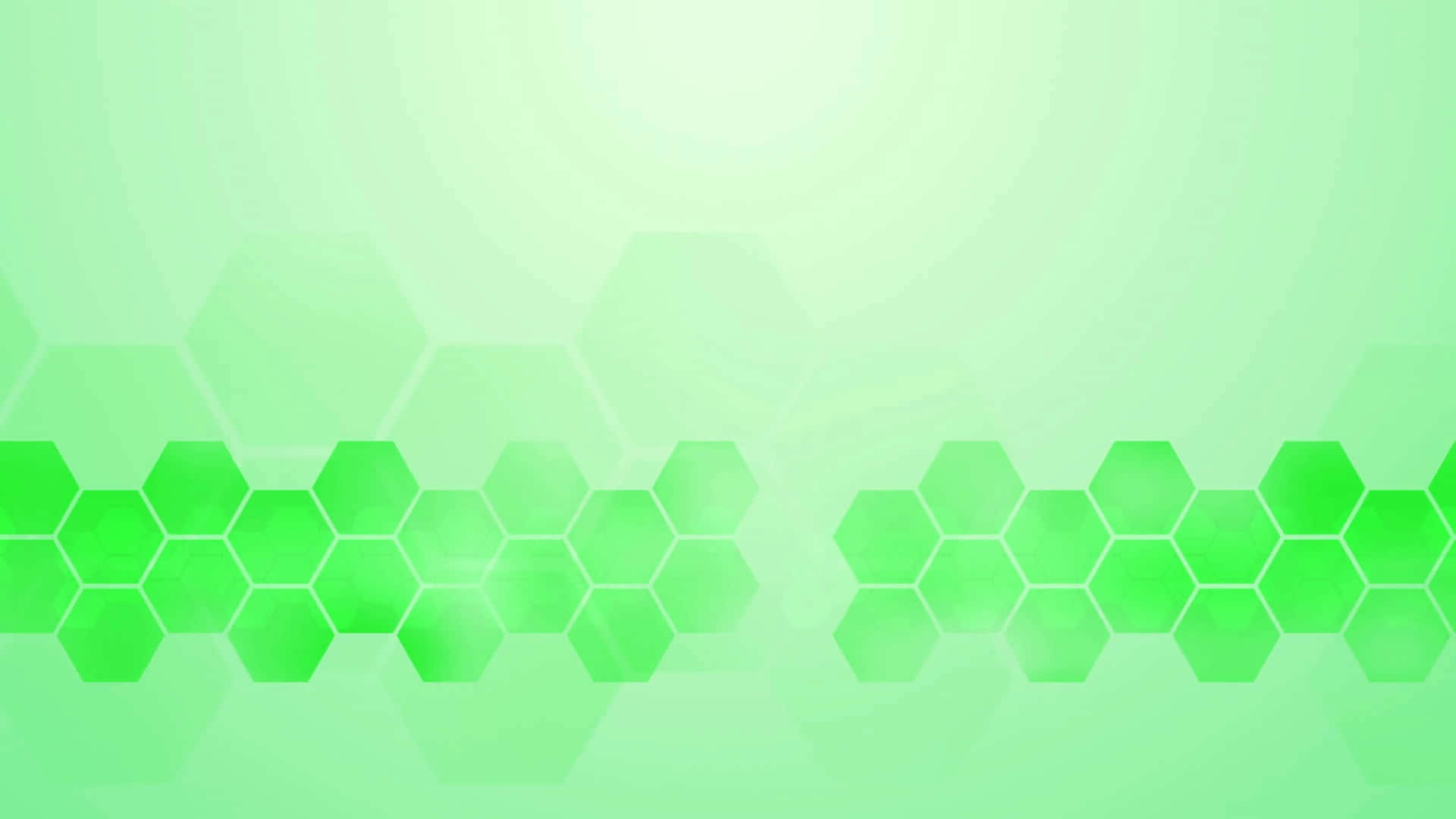 Light Green Hexagon Vector Art Background