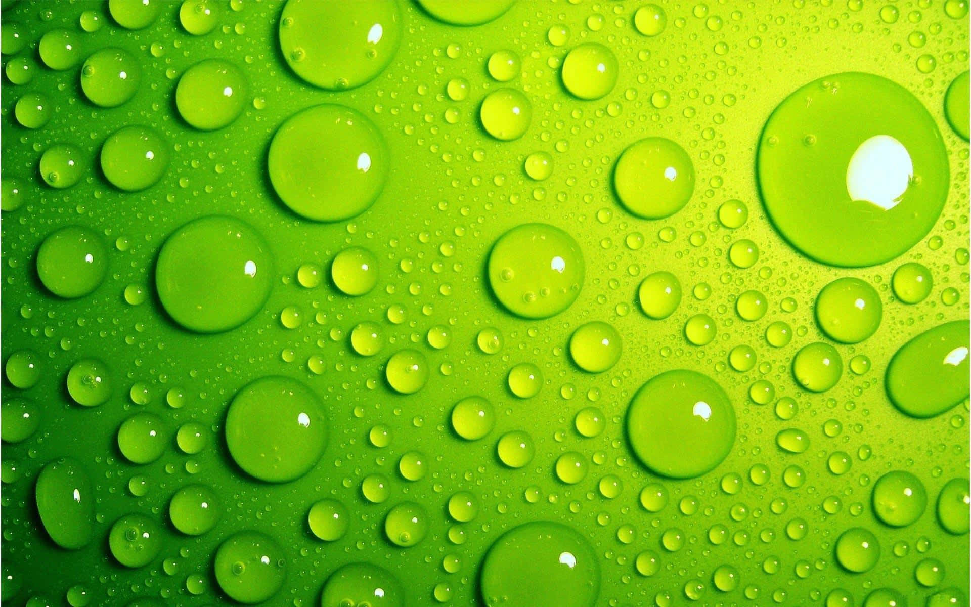Water Droplets On Light Green Background