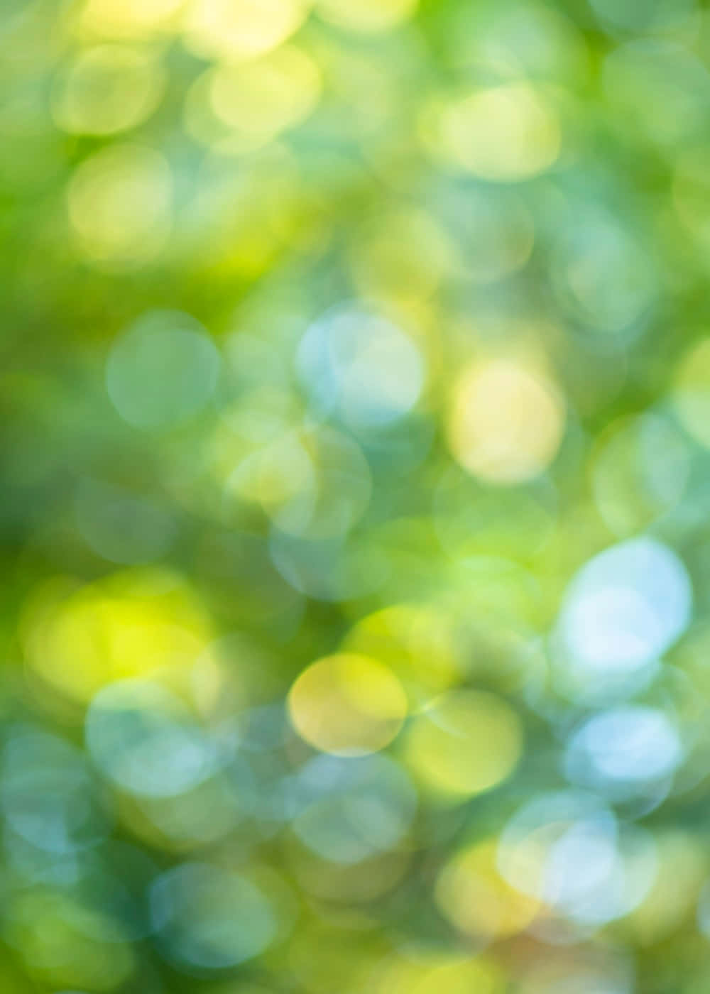 Blue Yellow And Light Green Bokeh Background