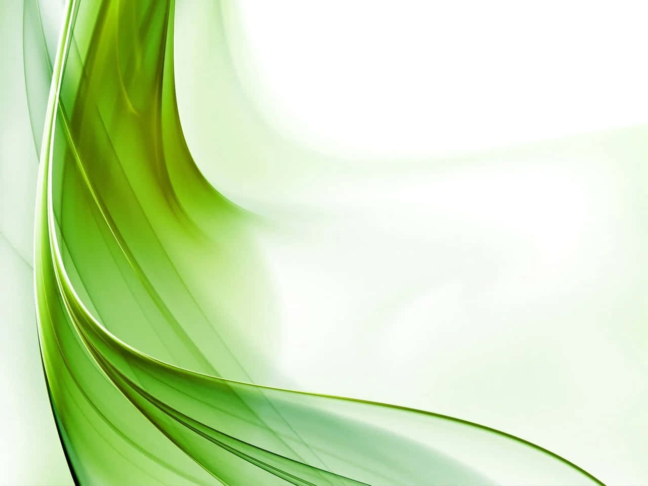 200+] Light Green Background s for FREE 