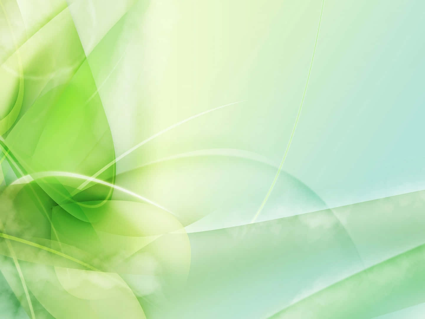 Light Green Abstract Wave Curves Background