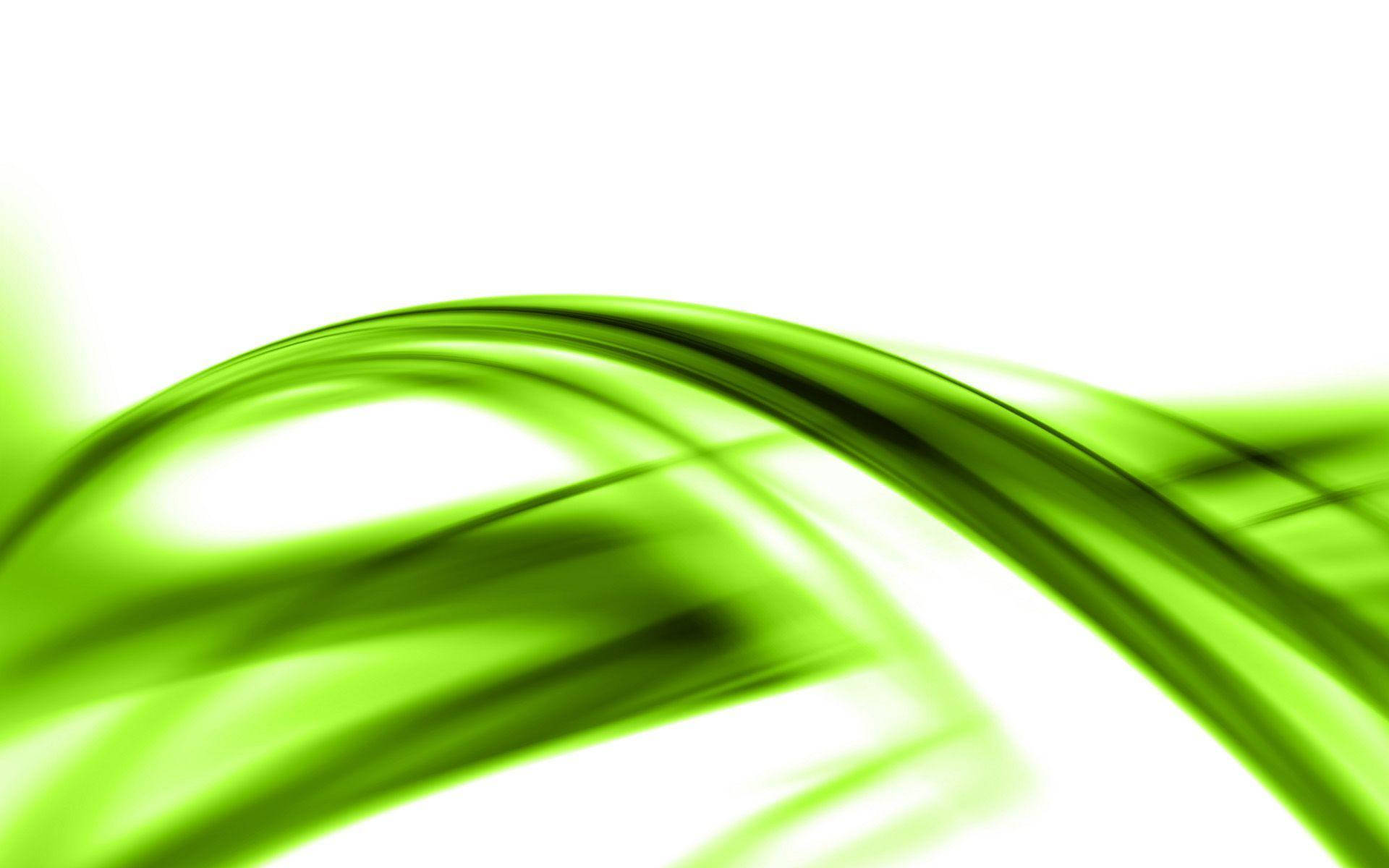 Light Green Curved Lines Wallpaper